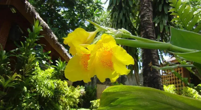 image url