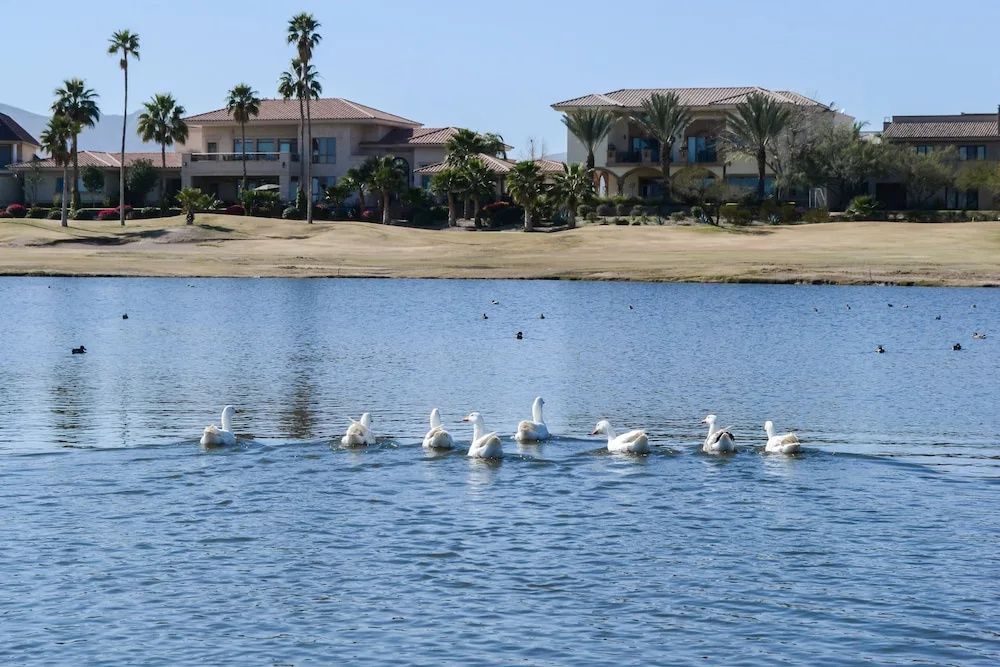 Beach & Waterfront