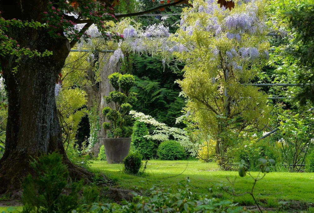 L'Echappée Belle
