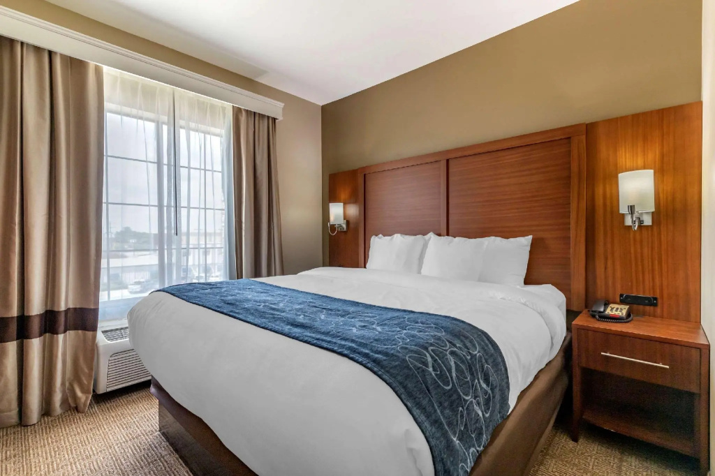 1 Bedroom Suite