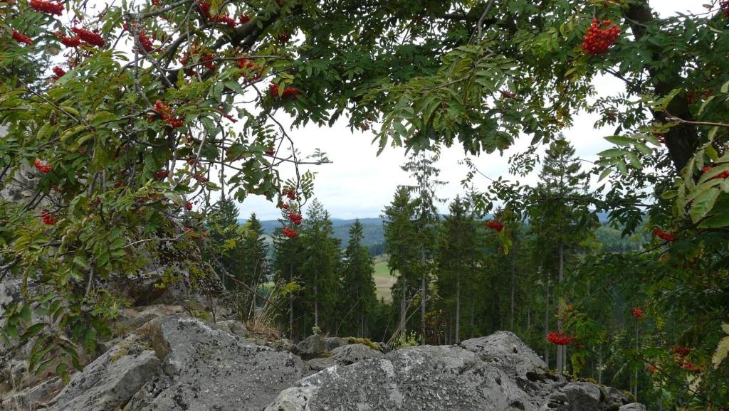 Landidyll Landaus Liesetal - Général