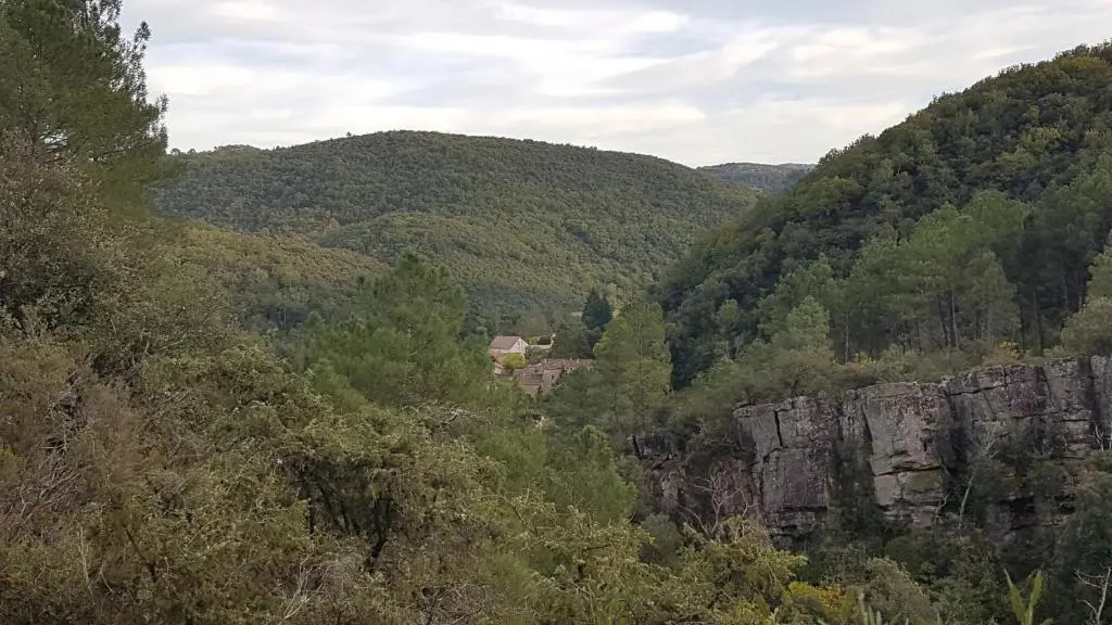 Le Clos du Cedre
