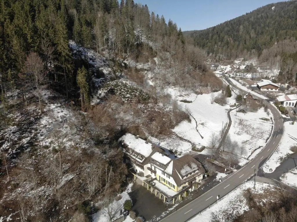 Black Forest Family Apartment-Zum Letzten G'Stehr - Chambres