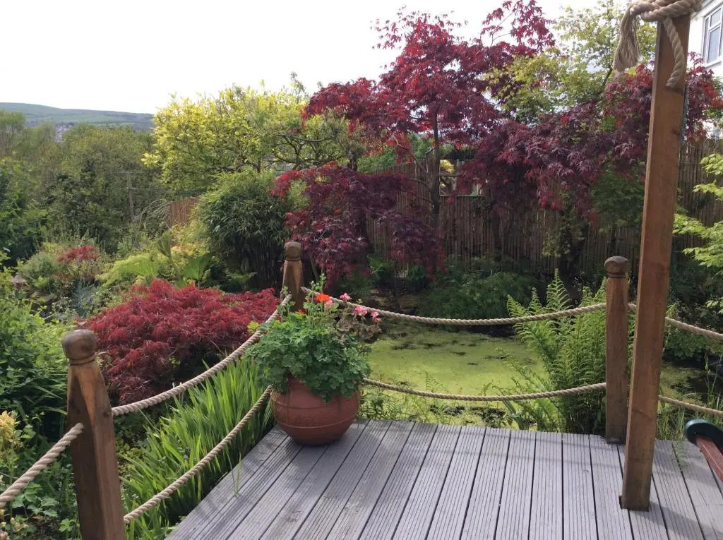 Cwmbach Guest House