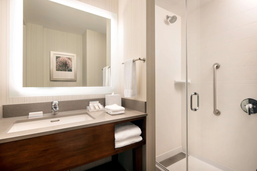Hilton Garden Inn Long Island City New York - Général