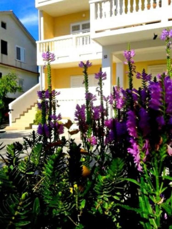 Apartments Franciska i Tihomir