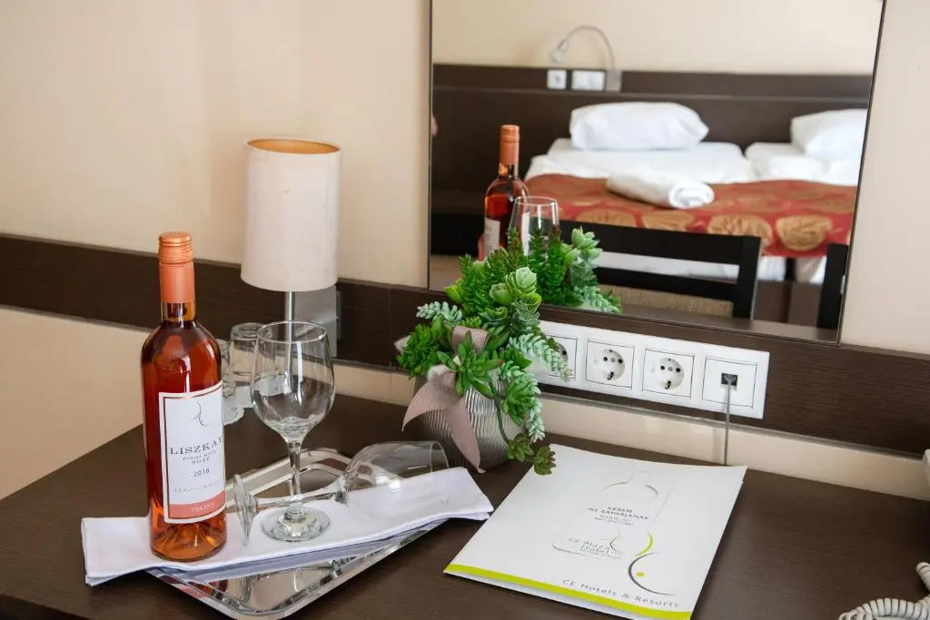 CE Plaza Hotel - Chambres