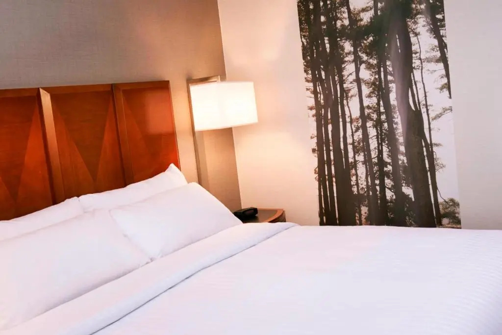Detroit Metro Airport Marriott - Chambres
