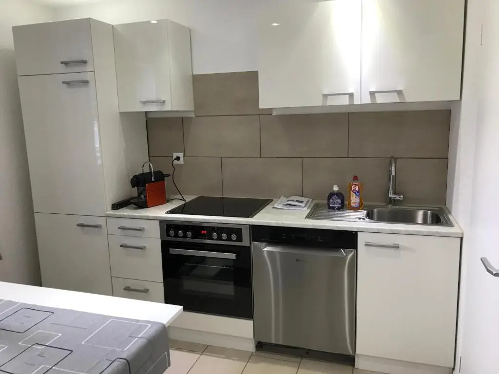 Basement Apartment