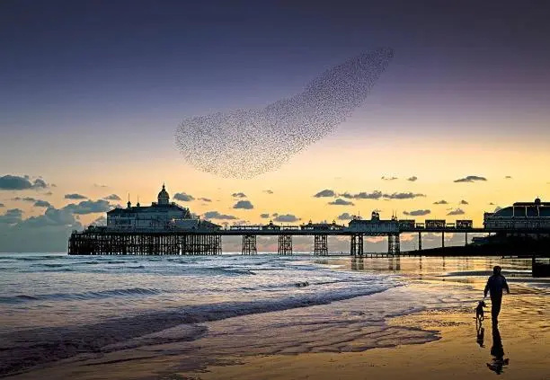 Eastbourne Town centre Maisonette apartment
