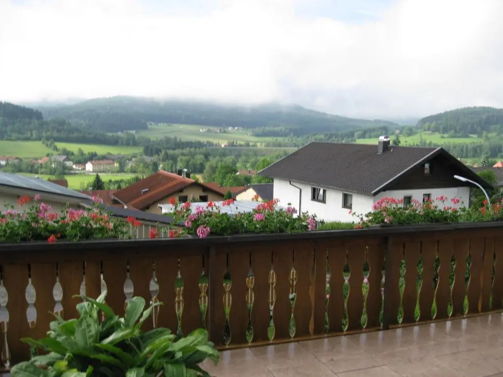 Standard Double room with balcony (full double bed)