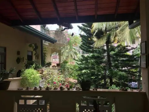 Palm grove
