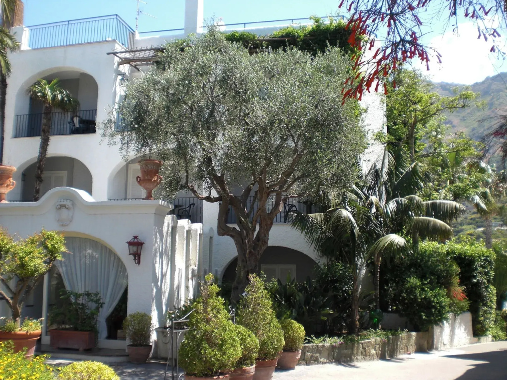 Hotel Parco Maria Terme - Général