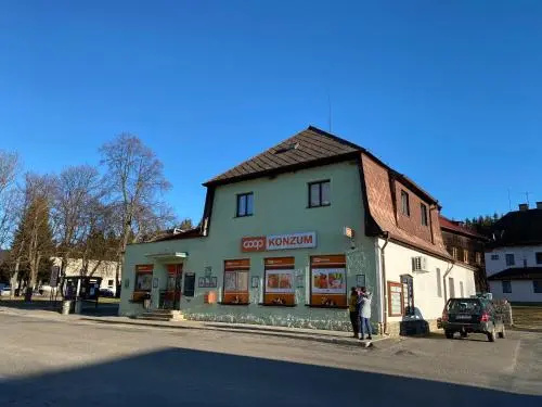 Srní 119