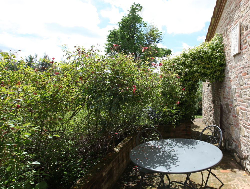 Image 15