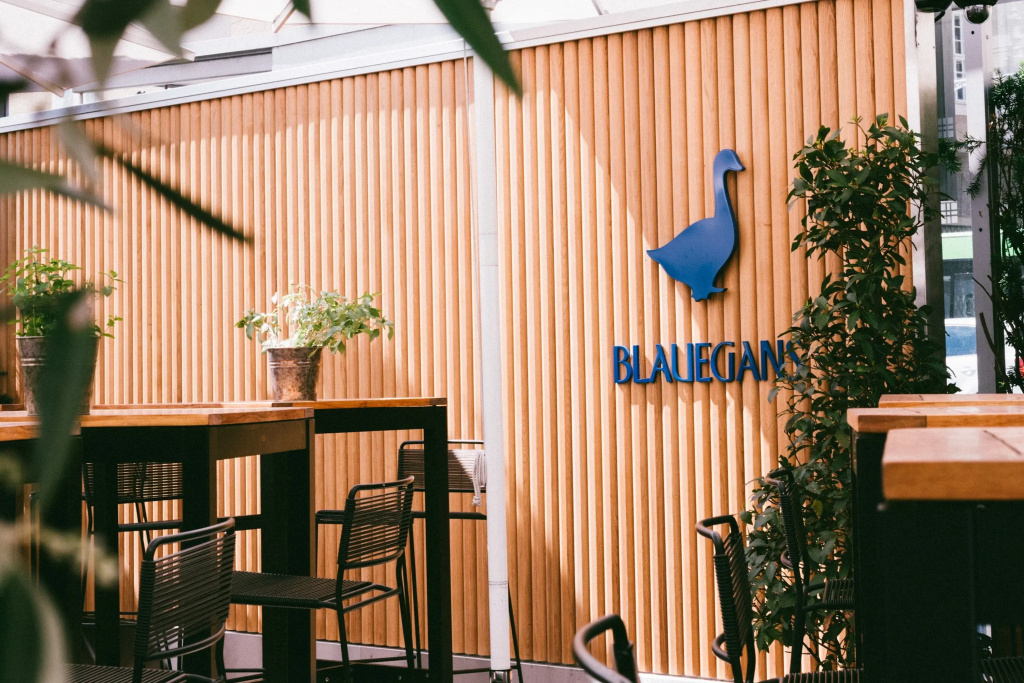 Arthotel Blaue Gans - Général