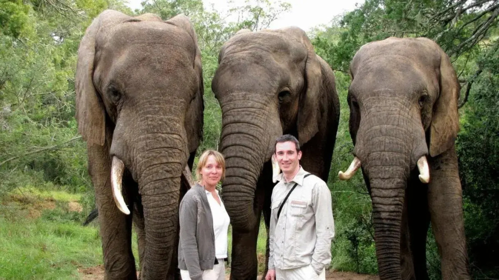 Kronenhoff Guest House - фото 15