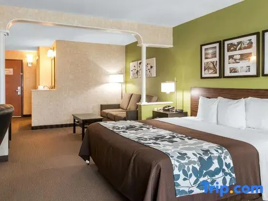 1 Bedroom Double Suite (full double bed)
