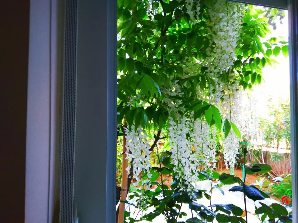 ApartHotel Viola - Chambres