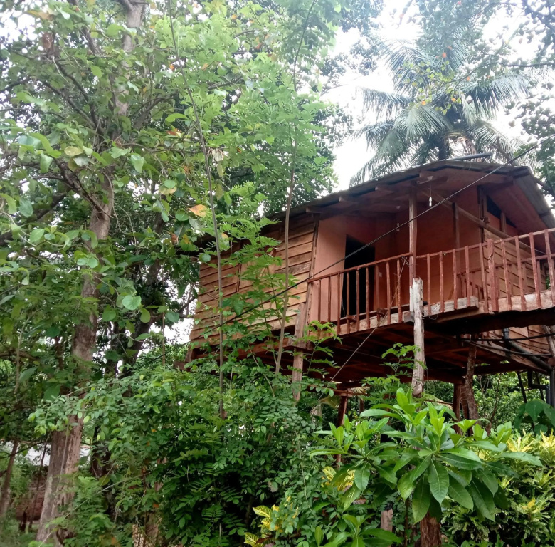 Peafowl Tree Lodge