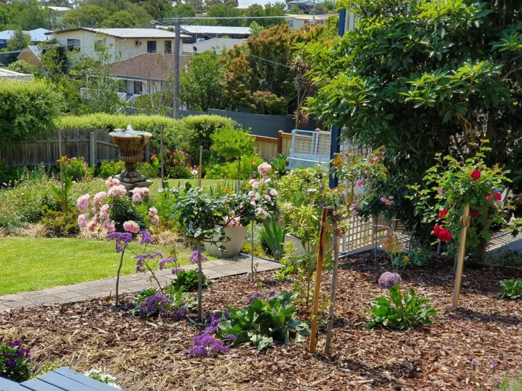 Abalone Guest Accommodation