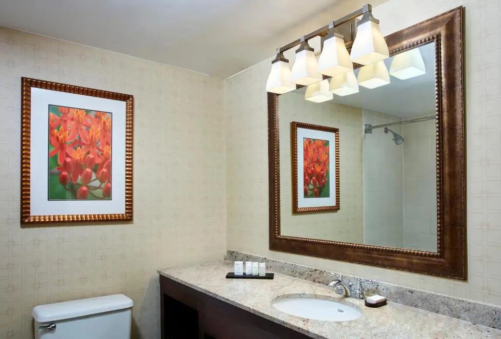 Embassy Suites by Hilton Parsippany - Chambres