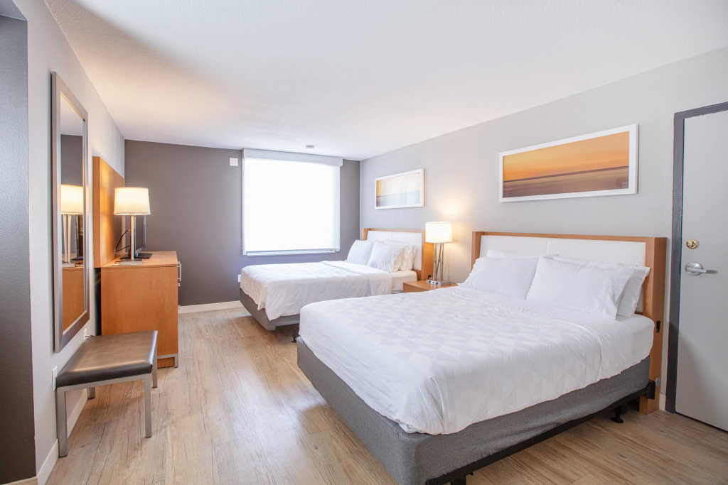 Holiday Inn St Louis SW - Route 66 by IHG - Général