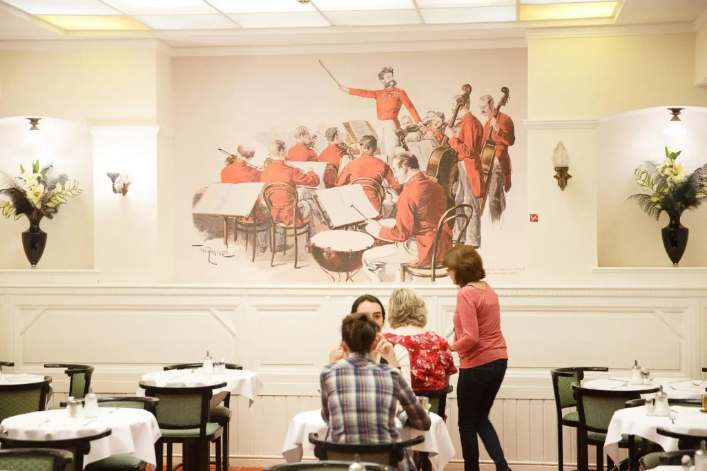 Hotel Johann Strauss - Général