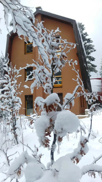 Apartments Aurelius