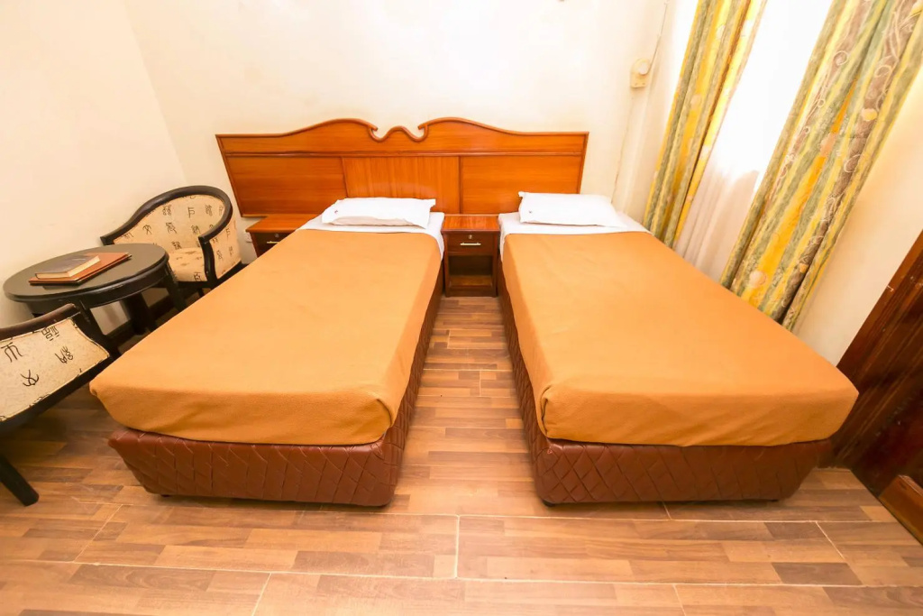Standard Double room (twin beds)