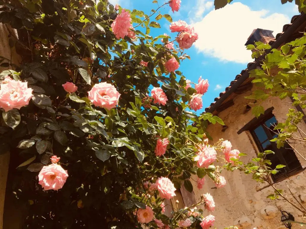 Agriturismo la Molina - Général