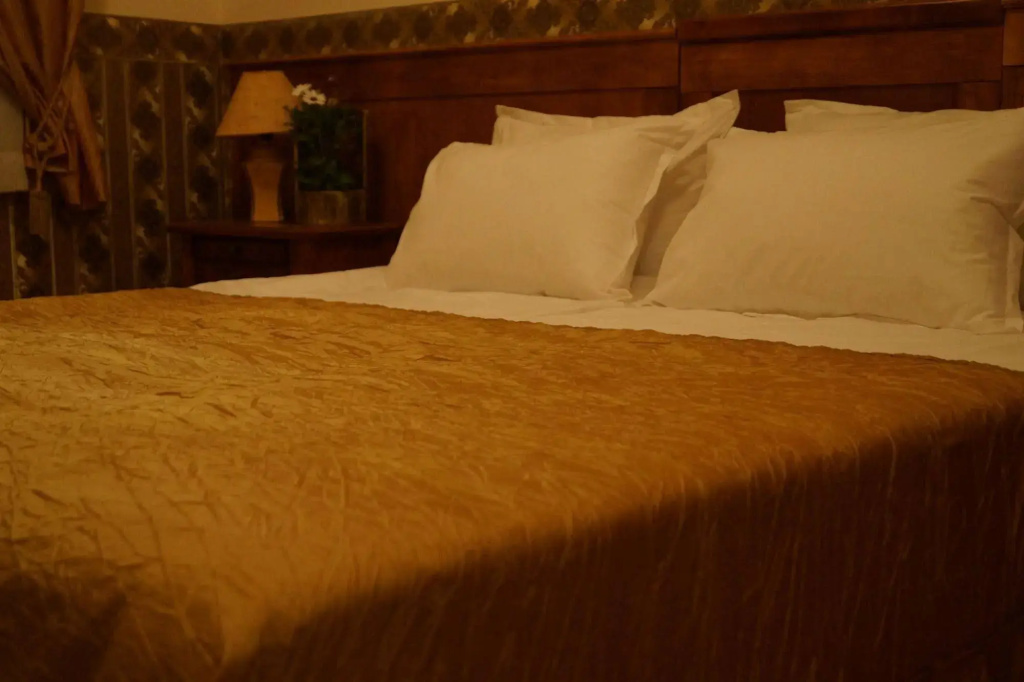Boutique Troy Hotel - Général