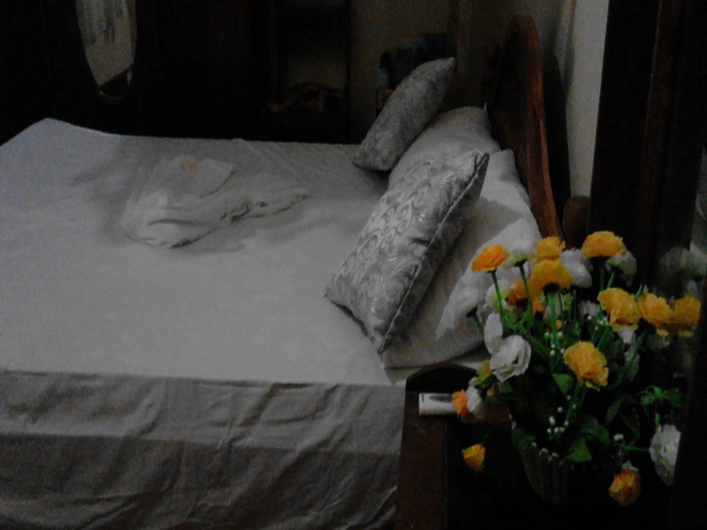 Sigiriya Vee Guest - фото 2