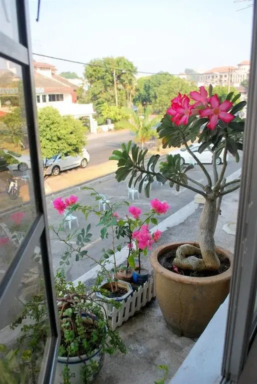 Hotel photo 27