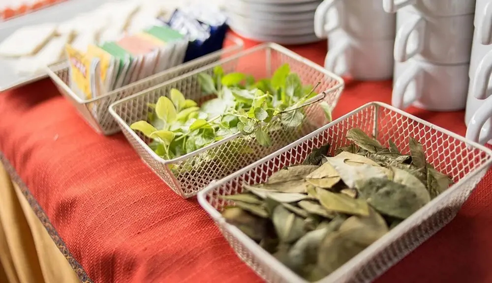 Colibrí Lodge - фото 9