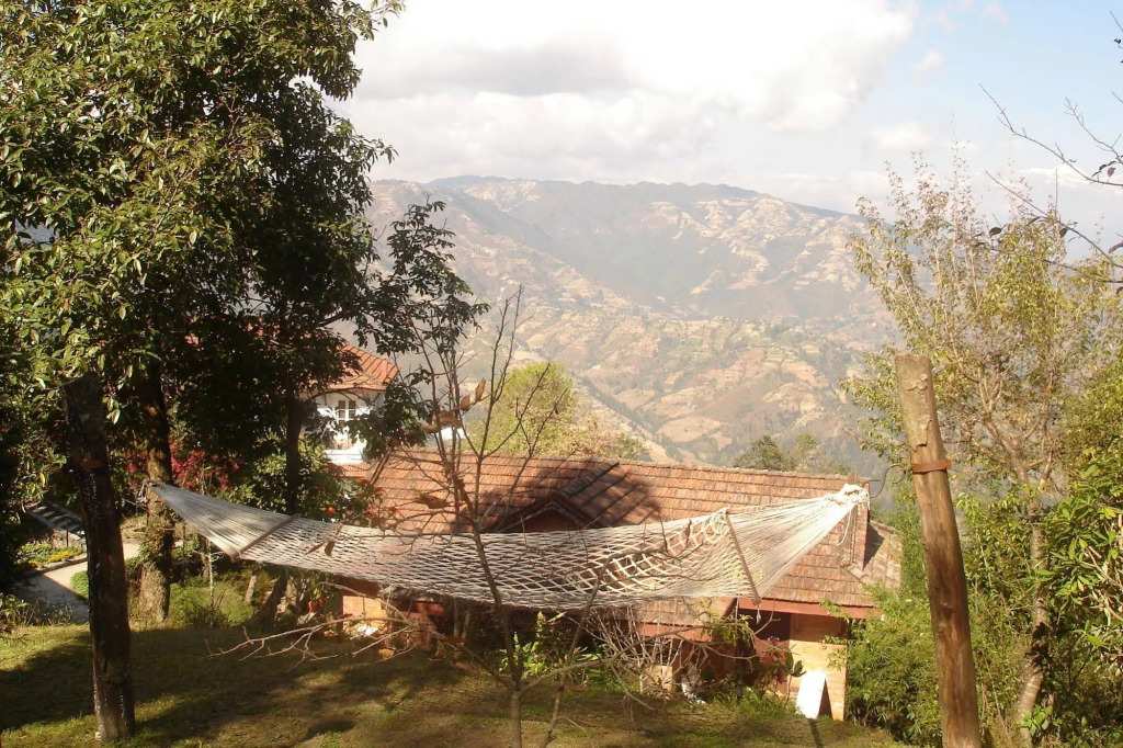 Image 11