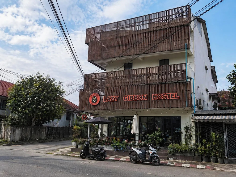 Lazy Gibbon 2 Chiang Mai - Haiya