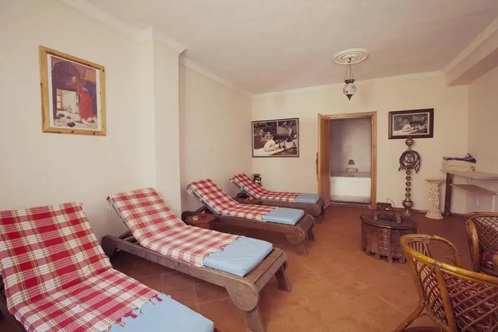 Cats Garden — фото 6