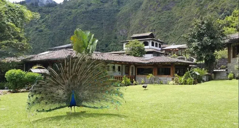 Hotel photo 41