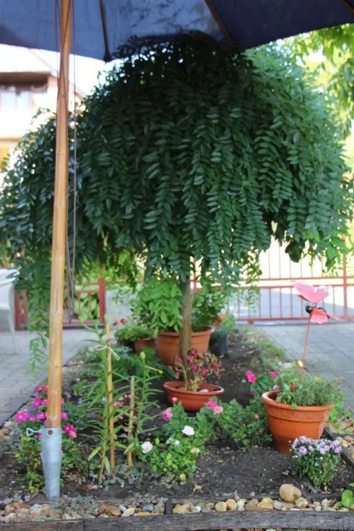 Small House Apartment - фото 11