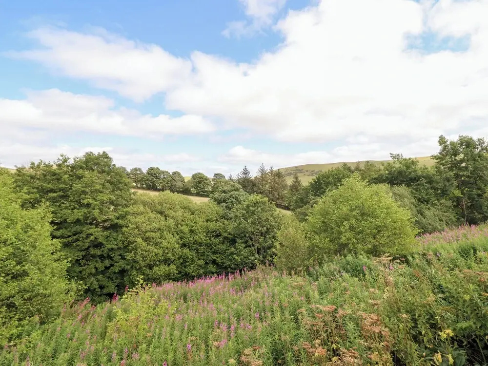 Cuckoo at Wild Valley Huts