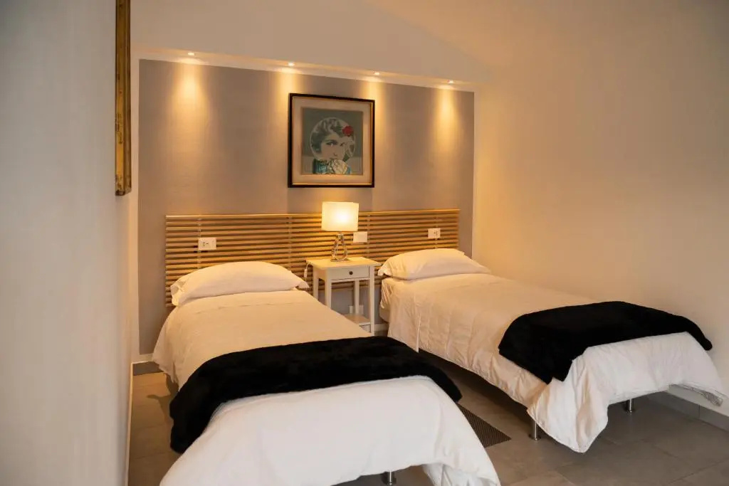 Standard Double room (twin beds)