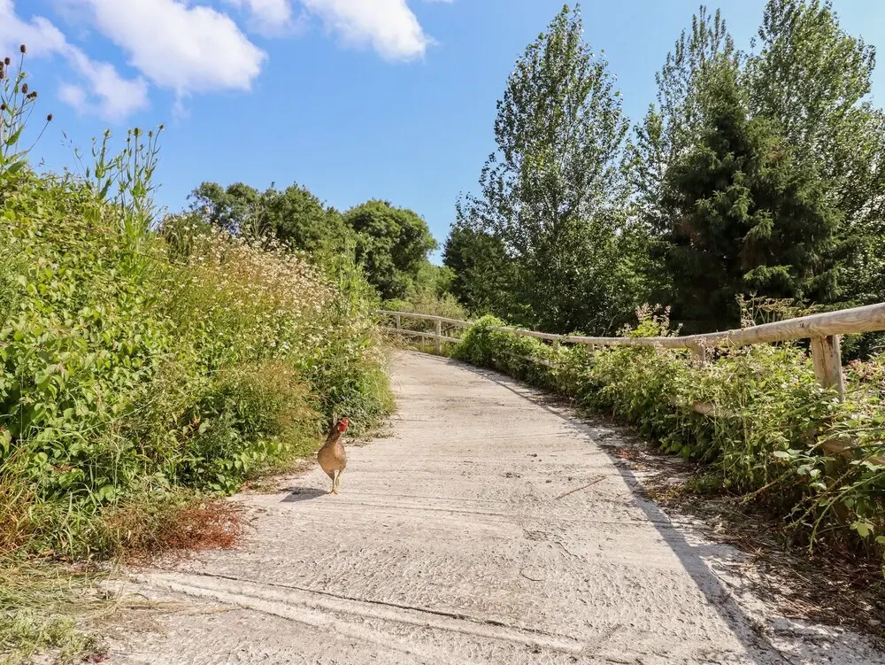 The Cider House - фото 33