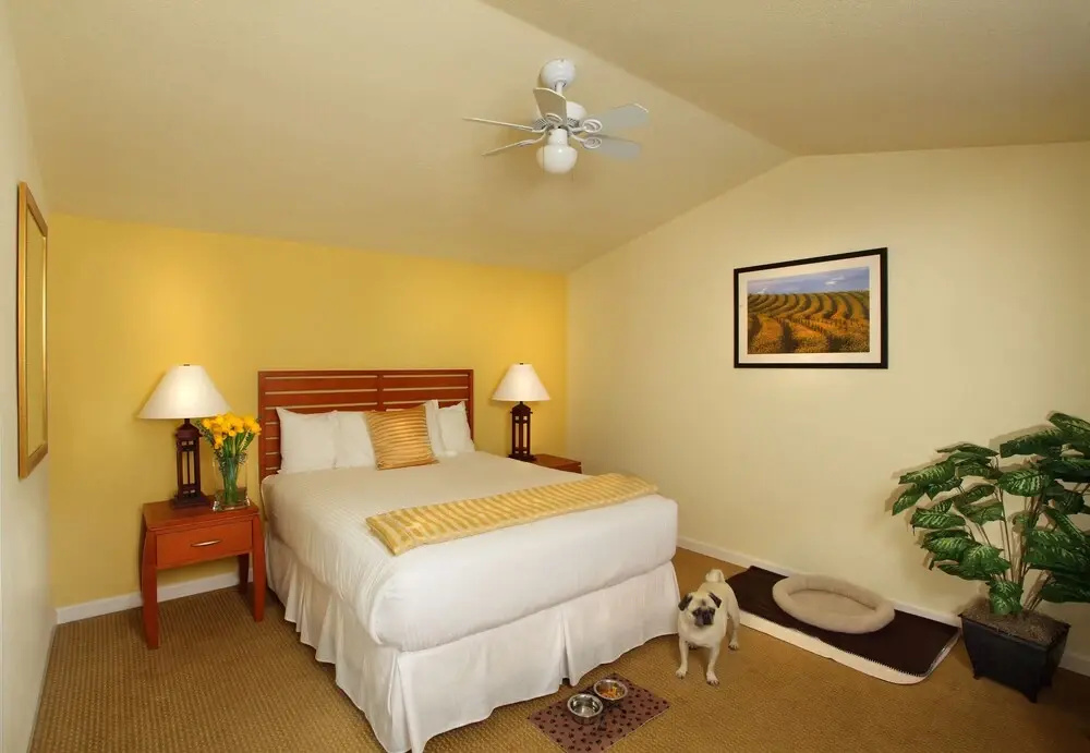 West Sonoma Inn & Spa - Chambres