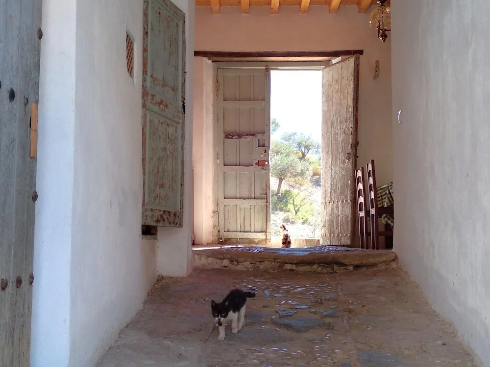 Andalusian Farmhouse for Workshops, Retreats or Events
