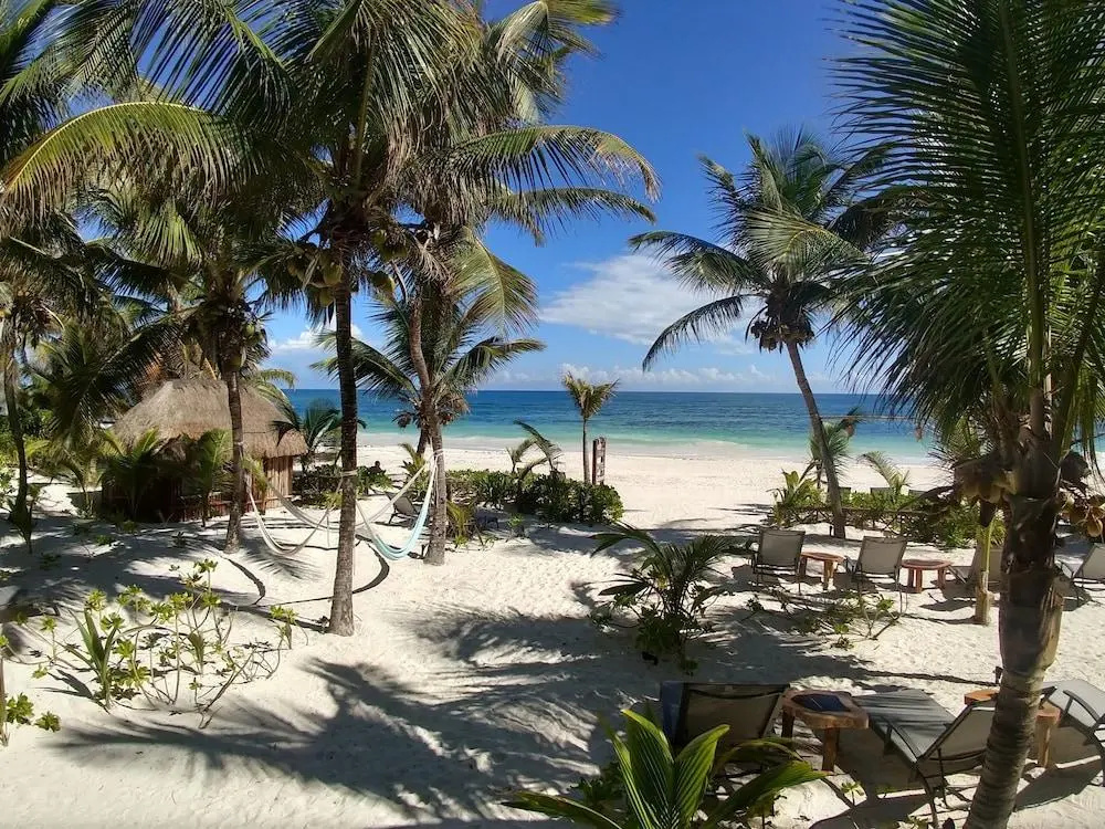 Beach & Waterfront