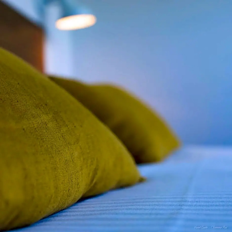 Standard Double room with garden view (full double bed)
