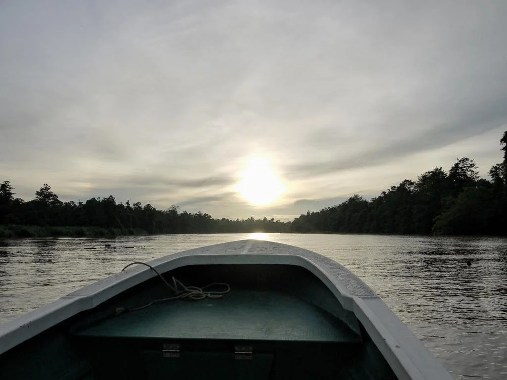Bilit Rainforest Lodge