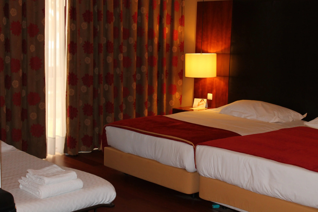 Lezíria Parque Hotel - Général