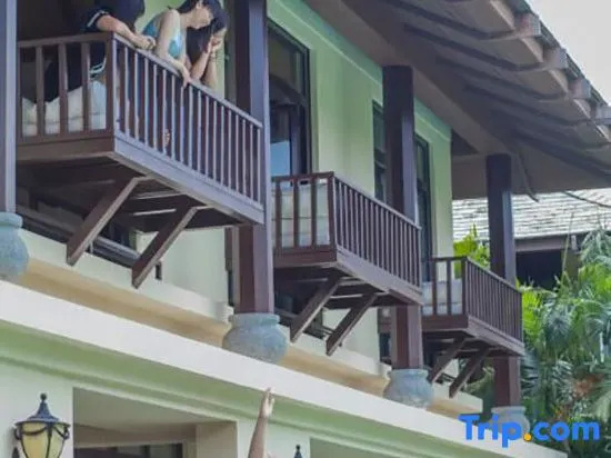 Balcony & Terrace